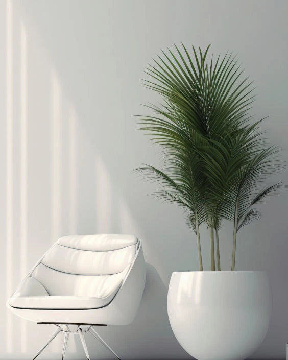 White chair and plant against a light gray wall